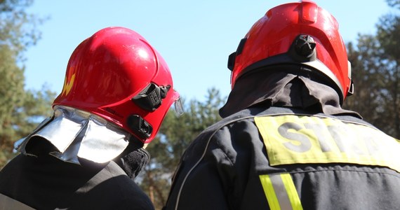 23 zastępy straży pożarnej walczyło z pożarem, który wybuchł w jednym z pensjonatów w miejscowości Krzyżówka, w powiecie nowosądeckim. 