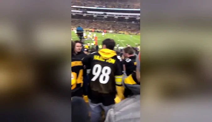 Fani Steelers pobili się między sobą. Wideo