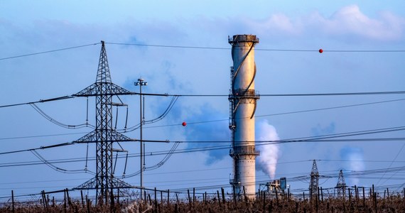 W dzisiejszym świecie człowiek jest "gatunkiem zagrożonym" - alarmuje WWF. Greenpeace krytykuje polskie władze za korzystanie z węgla. Reprezentowane podczas Szczytu Klimatycznego COP24 w Katowicach organizacje ekologiczne wzywają do wzmożenia wysiłków na rzecz ochrony klimatu.