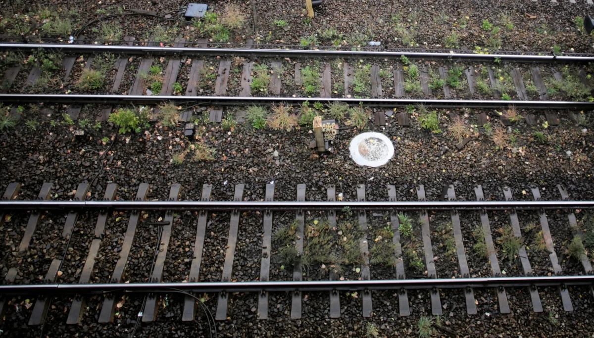 41-letniego mężczyznę, który próbował doprowadzić do katastrofy kolejowej, zatrzymali policjanci z Andrychowa (Małopolskie) - podał rzecznik małopolskiej policji Sebastian Gleń. Okazało się, że lista przestępstw zatrzymanego 41-latka jest dłuższa. Grozi mu 8 lat więzienia.
