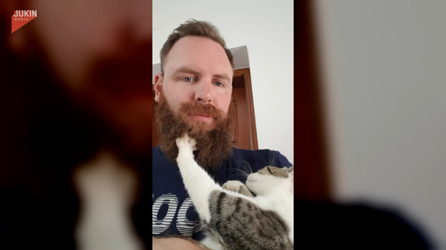 Ten sześciomiesięczny kot był oczarowany, gdy zobaczył świeżo umytą brodę swojego właściciela. Postanowił mu ją wyczesać.