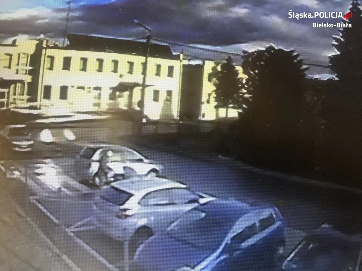 Do niecodziennego zdarzenia doszło na parkingu w Jasienicy w powiecie bielskim. Kobieta zostawiła swojego fiata na miejscu parkingowym. Kiedy wróciła, samochód stał kilka miejsc dalej - na przejściu dla pieszych. Zaskoczona zawiadomiła policję, że ktoś najprawdopodobniej usiłował skraść jej auto. Dopiero po przejrzeniu zapisów monitoringu okazało się, że sytuacja wyglądała zupełnie inaczej...