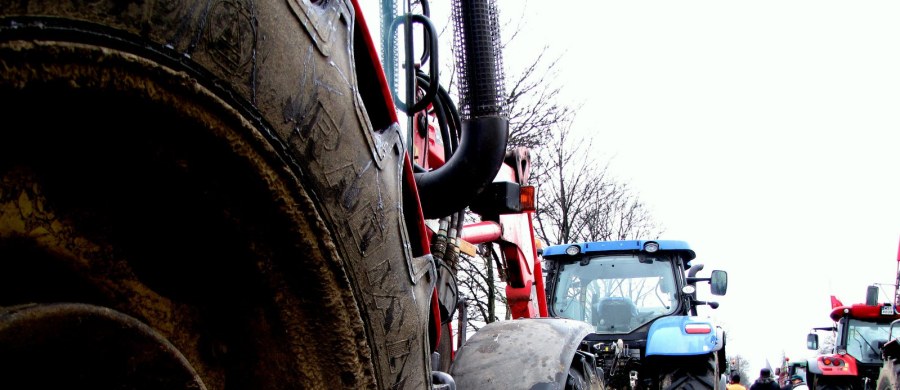 Po kilku godzinach zakończył się protest rolników w Przygłowie w Łódzkiem, który powodował duże utrudnienia w ruchu na drodze krajowej nr 12 na odcinku między Piotrkowem Trybunalskim a Sulejowem. Rolnicy protestowali przeciwko niekorzystnej sytuacji na rynku trzody chlewnej.