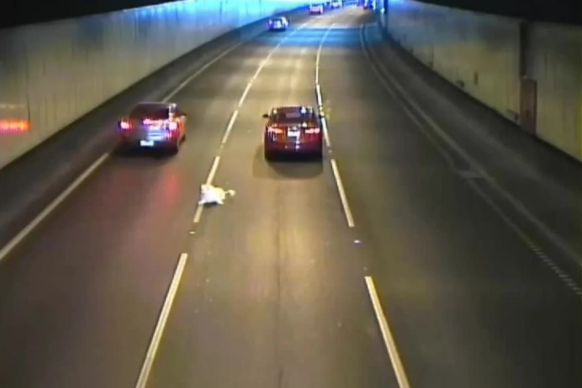 Niebezpieczne zdarzenie w tunelu drogowym w Melbourne. Pies wyskoczył z samochodu wprost na ruchliwą ulicę. Refleks kierowców sprawił, że zwierzak nie został przejechany. Właściciel psa zatrzymał się i wziął go z powrotem do auta. Ruch został przez to zdarzenie na chwilę wstrzymany.