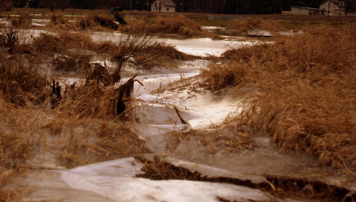 Instytut Meteorologii i Gospodarki Wodnej wydał w środę ostrzeżenia pierwszego stopnia dla trzech województw w związku z możliwym oblodzeniem dróg i chodników.
