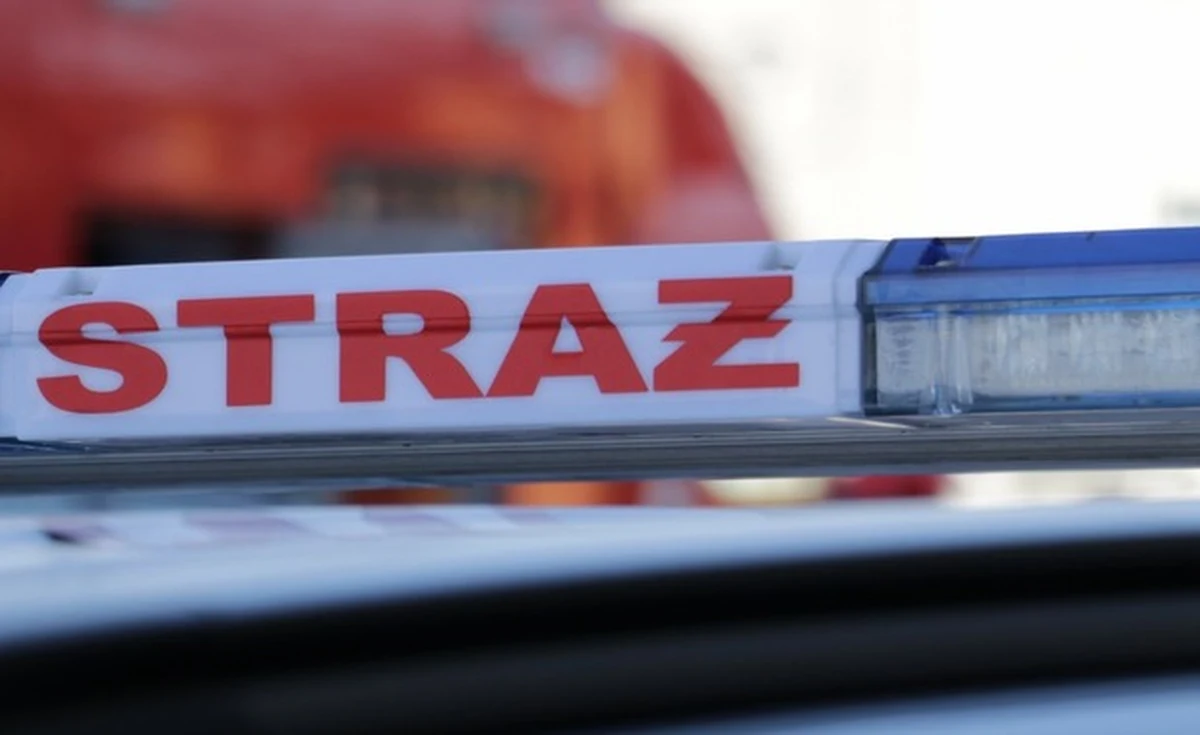 58-letni mężczyzna i 70-letnia kobieta zginęli w pożarze kamienicy w Łodzi – poinformował rzecznik strażaków w Łódzkiem st. kpt. Jędrzej Pawlak.