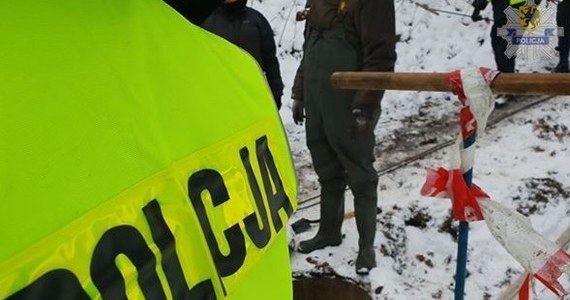 Policja zakończyła trwające od rana prace poszukiwawcze związane z zaginięciem w 2010 roku Iwony Wieczorek. Sprawdzono około pół hektara lasu. Nie znaleziono nic, co mogłoby pomóc w rozwiązaniu zagadki zaginięcia dziewczyny. Kobieta zaginęła w nocy z 16 na 17 lipca 2010 roku.
