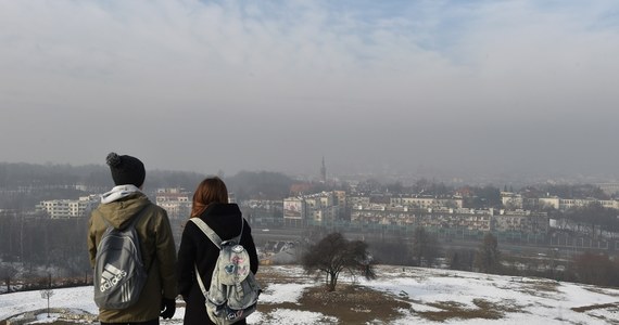 Dopiero za 50 lat - przy obecnym tempie prac - możemy liczyć na efekty walki ze smogiem i czyste powietrze - alarmują specjaliści. Swoje dane i raport dotyczący Małopolski przedstawił Krakowski Alarm Smogowy. 