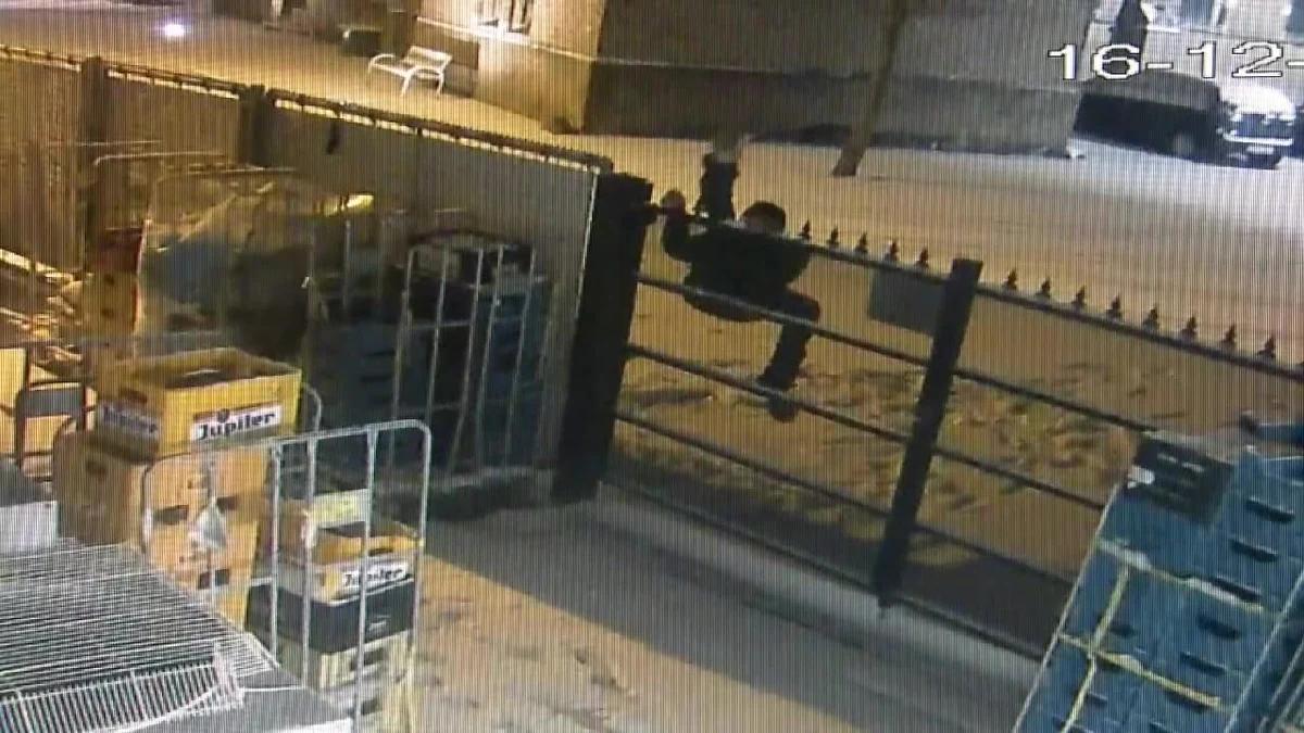 Pijany mężczyzna chciał okraść sklep alkoholowy w Limbourgu w Belgii. Przeskoczył przez ogrodzenie, dostał się do magazynu i zaczął wybierać butelki, które później chciał wypić. Gdy już znalazł, czego szukał, próbował opuścić teren sklepu. Ponownie wdrapał się na ogrodzenie, ale zejście z niego okazało się zbyt trudne. 