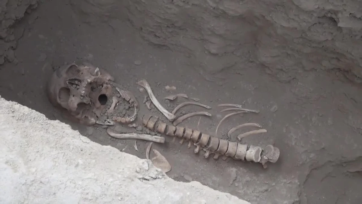 Archeolodzy pracujący w Huaca Santa Rosa de Pucala w Peru odkryli miejsce obrzędowe cywilizacji Wari a w nim charakterystyczne dla niej grobowce, liczące nawet tysiąc lat. "Z całą pewnością część zwłok należy do ludzi złożonych w ofierze" - powiedział Edgar Bracamonte z ministerstwa archeologii Peru. Jak dodał, świadczy o tym m. in. fakt, że czaszki zmarłych są oddzielone od reszty szkieletu. Wykopaliska rozpoczęto pod przewodnictwem Muzeum Królewskich Grobowców w Sipan i już po kilku dniach natrafiono na pierwsze znaleziska. Potwierdzają one przypuszczenia, że cywilizacje przedinkaskie, takie jak Wari, były aktywne na tamtych terenach.