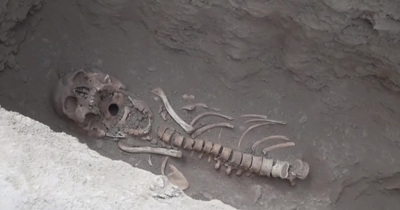 Archeolodzy pracujący w Huaca Santa Rosa de Pucala w Peru odkryli miejsce obrzędowe cywilizacji Wari a w nim charakterystyczne dla niej grobowce, liczące nawet tysiąc lat. "Z całą pewnością część zwłok należy do ludzi złożonych w ofierze" - powiedział Edgar Bracamonte z ministerstwa archeologii Peru. Jak dodał, świadczy o tym m. in. fakt, że czaszki zmarłych są oddzielone od reszty szkieletu. Wykopaliska rozpoczęto pod przewodnictwem Muzeum Królewskich Grobowców w Sipan i już po kilku dniach natrafiono na pierwsze znaleziska. Potwierdzają one przypuszczenia, że cywilizacje przedinkaskie, takie jak Wari, były aktywne na tamtych terenach.