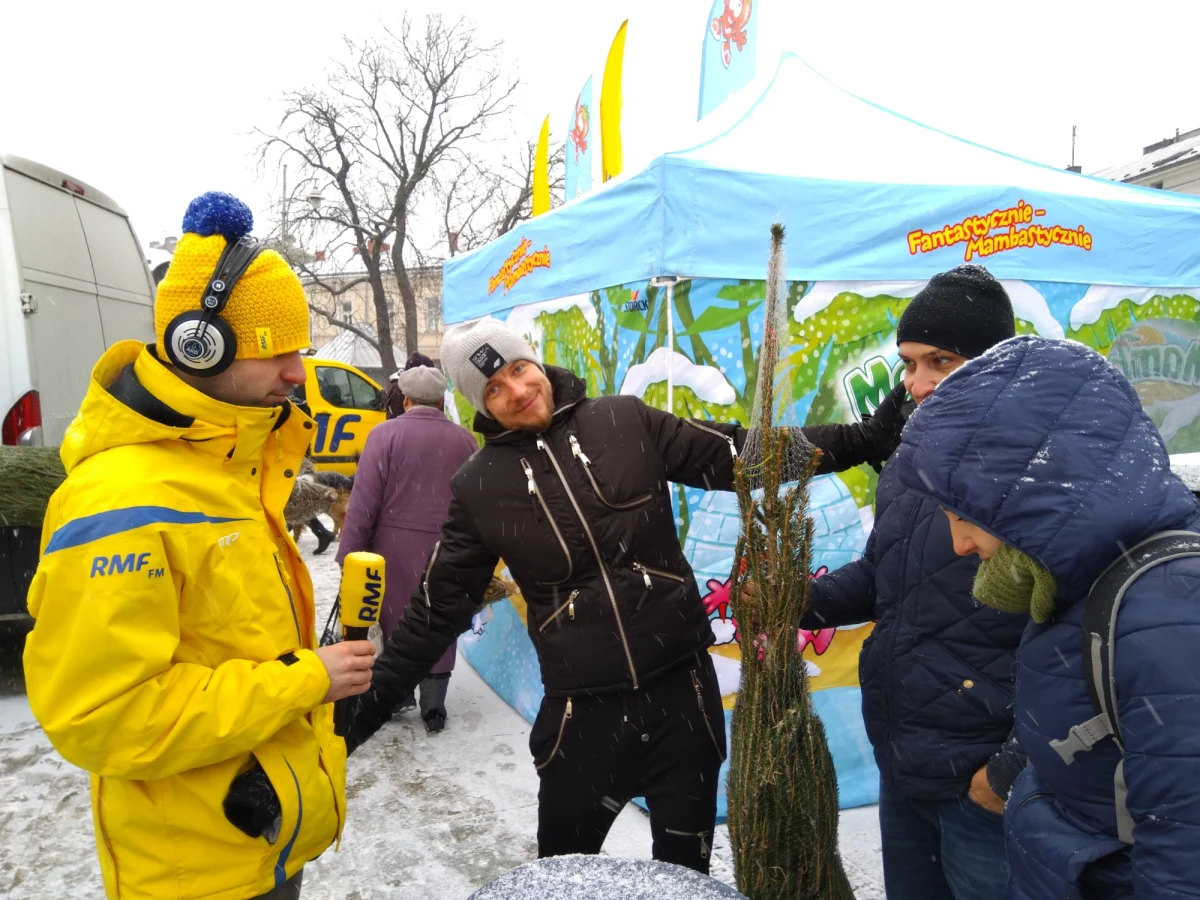 "Tu jest większy wybór choinek niż w sklepie" - takie głosy można było usłyszeć na Rynku w Kielcach podczas akcji "Choinka pod choinkę". Właśnie rozdaliśmy tam tysiąc pięknych drzewek. 