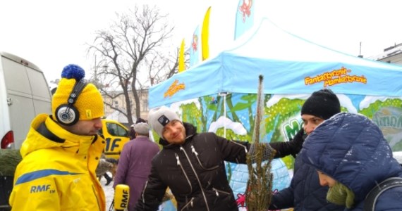 "Tu jest większy wybór choinek niż w sklepie" - takie głosy można było usłyszeć na Rynku w Kielcach podczas akcji "Choinka pod choinkę". Właśnie rozdaliśmy tam tysiąc pięknych drzewek. 