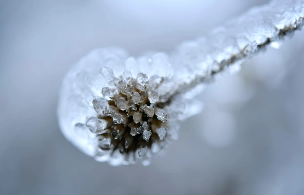 W Święta Bożego Narodzenia pogoda będzie przypominała bardziej tą z okresu późnej jesieni niż typową polską zimę. Niewielkie opady śniegu i deszczu ze śniegiem pojawią się miejscami jedynie na wschodzie i południu kraju - podaje IMGW.