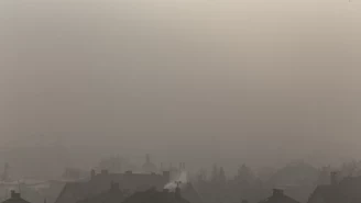Smog zniknie dopiero za 50 lat?
