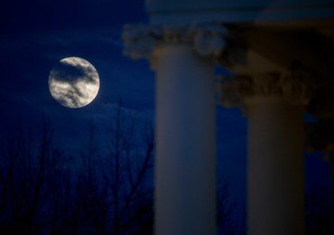 USA: Częściowe zawieszenie rządu przez pomysł Trumpa