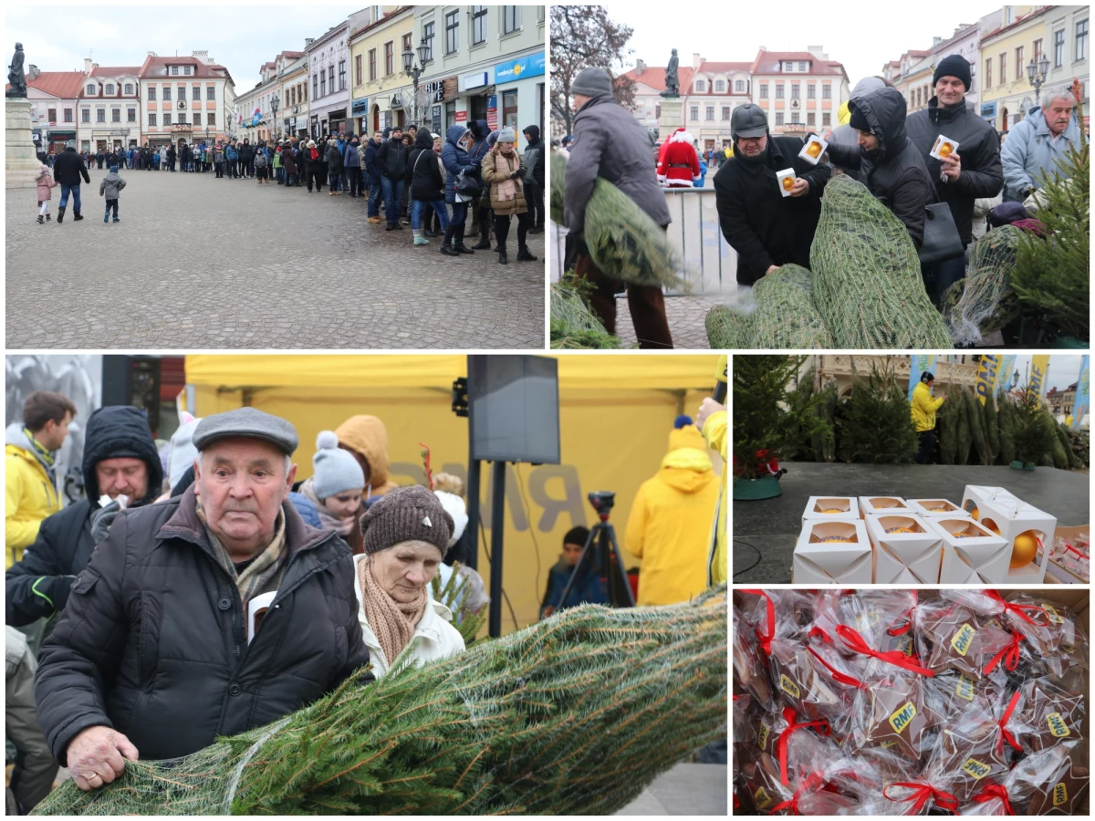 Setki ludzi ustawiły się w długiej kolejce na rzeszowskim Rynku, by Boże Narodzenie spędzić przy choinkach od RMF FM! Właśnie stolica Podkarpacia była przedostatnim przystankiem na trasie naszego choinkowego konwoju. W ręce rzeszowian trafił tysiąc zielonych, pachnących drzewek! A w ich rozdawaniu pomagała nam muzyczna gwiazda - Michał Szczygieł. Jutro, w finale naszej corocznej bożonarodzeniowej akcji, Choinki pod Choinkę od RMF FM rozdamy w Krakowie!