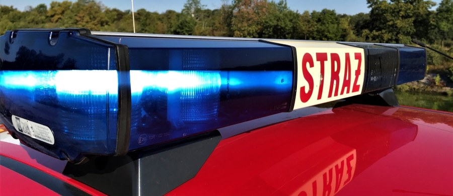 Podpalenie było przyczyną wczorajszego pożaru w hali garażowej na Szafarni w Gdańsku - dowiedział się nieoficjalnie reporter RMF FM Kuba Kaługa. Ogień zniszczył 3 samochody. Konieczna była ewakuacja mieszkańców kilku budynków. 