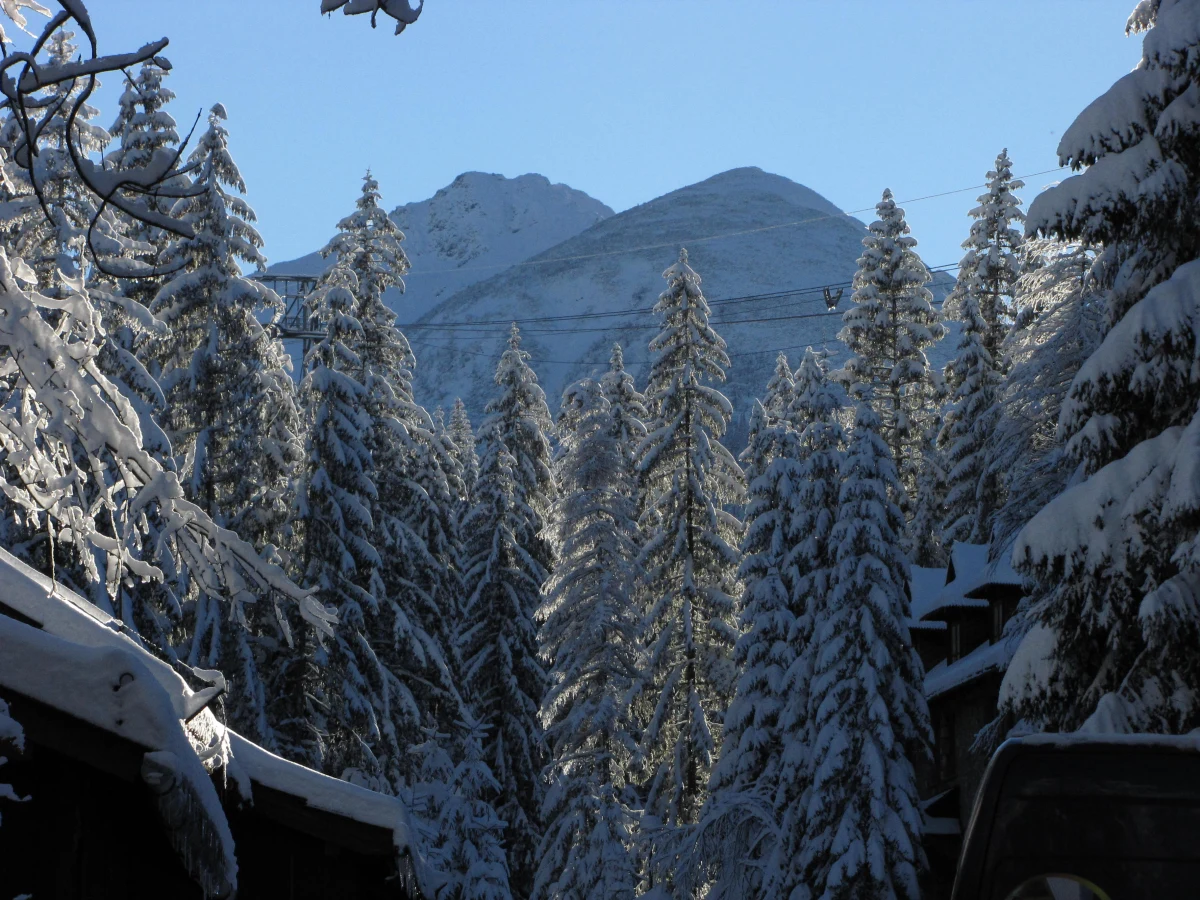 To nie była dla TOPR-u spokojna Wigilia. Sześciu turystów zabłądziło w okolicy Przełęczy Liliowe w Tatrach i telefonicznie poprosiło TOPR-owców o pomoc. Do centrali górskich ratowników dotarło również wezwanie z Rakonia. Wszystkich turystów ratownicy sprowadzili bezpiecznie na dół.
