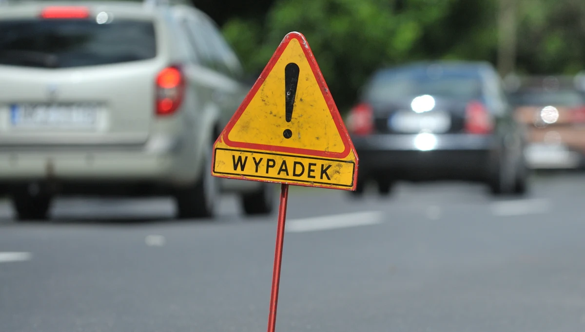 ​Dwóch mężczyzn w wieku 34 i 35 lat zostało potrąconych przez osobowe audi. W wyniku poniesionych obrażeń zmarli - poinformowała podkomisarz Aneta Sobieraj z zespołu prasowego Komendy Wojewódzkiej Policji w Łodzi.