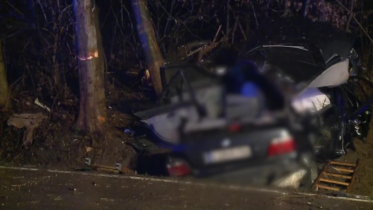 Dwóch mężczyzn w wieku 32 i 34 lat zginęło, a dwie kolejne osoby trafiły do szpitala po wypadku w Porębie Radlnej koło Tarnowa. Samochód osobowy uderzył tam w drzewo.