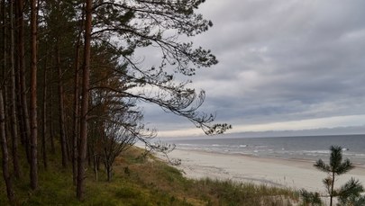 Urząd Morski w Gdyni ogłosił przetarg na przekop przez Mierzeję Wiślaną