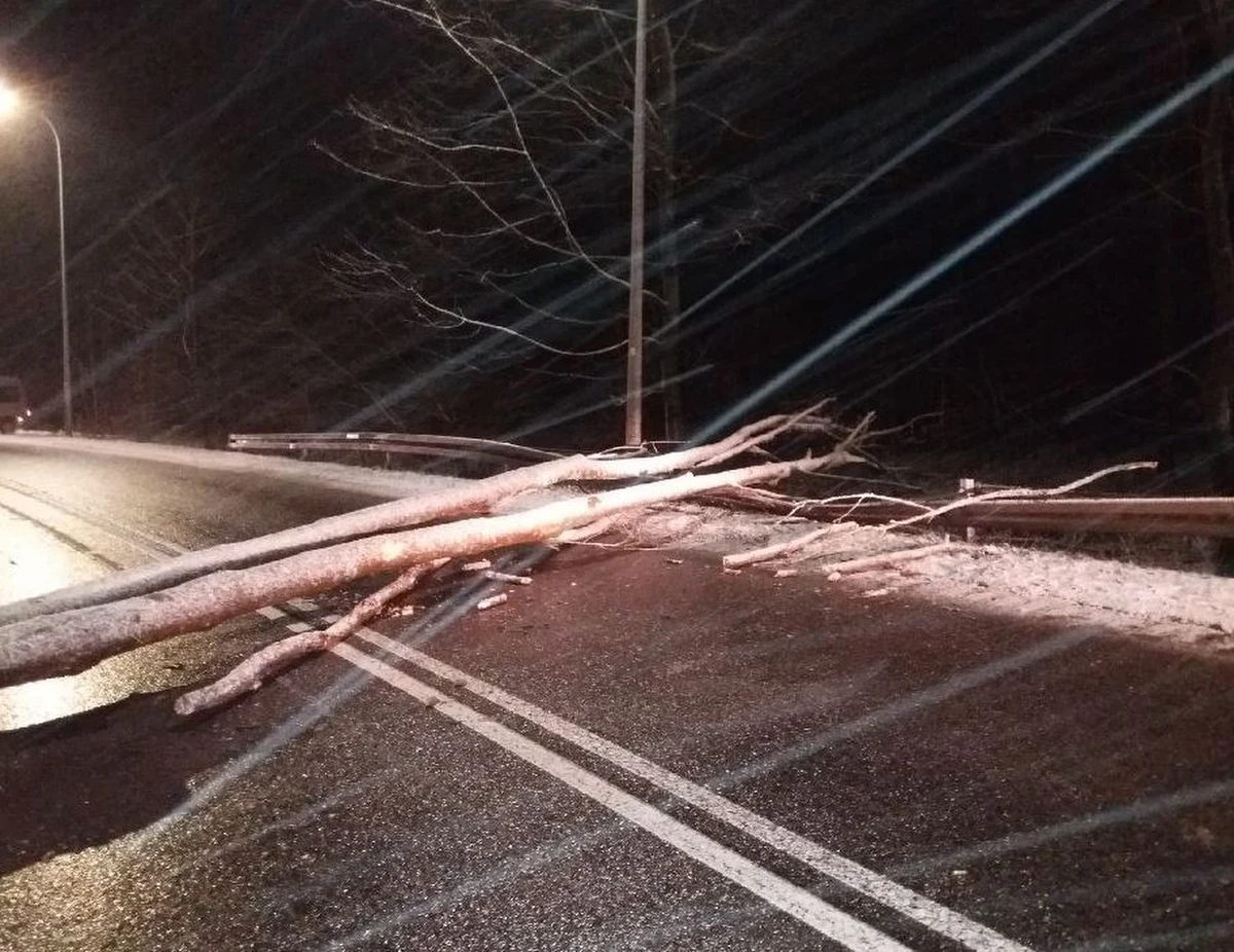 Przewrócone przez wiatr drzewa, blokowały ulice m.in. w Gdańsku i w Kołobrzegu - informowaliście na Gorącą Linię RMF FM. "W Ustce strażacy ustawiają zapory przeciwpowodziowe, zabezpieczają okolice portu przed zalaniem. Poziom wody w kanale portowym wciąż się podnosi. Wszystkie służby w gotowości. Sopockie molo zamyka wejście na głowicę i do mariny. Na morzu i na Zatoce Gdańskiej sztorm" - informuje na Twitterze nasz reporter Kuba Kaługa. Powodem jest silny wiatr. Mocno wieje nie tylko w woj. pomorskim, ale też w Zachodniopomorskiem. 