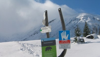 Trzeci stopień zagrożenia lawinowego w Tatrach