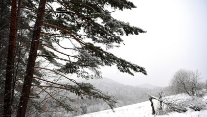 Długoterminowa prognoza pogody: Śnieg i mróz, a do tego wiatr  