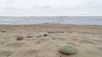 Holandia: Makabryczne znalezisko na plaży