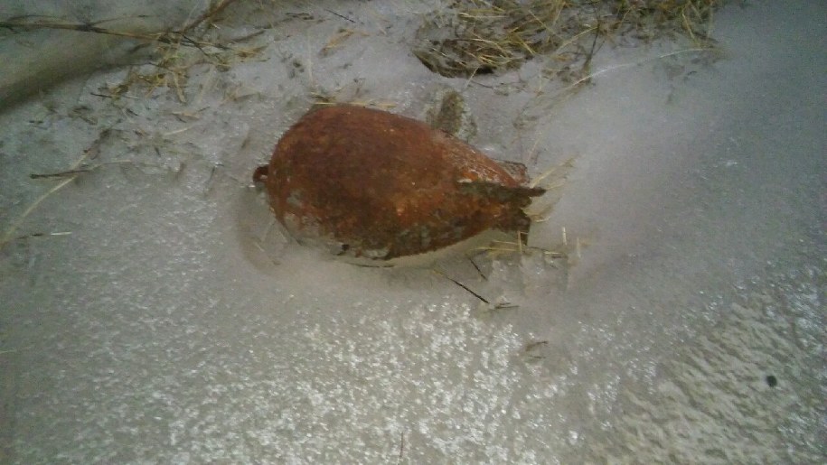 /foto. Ewelina Piechorowska-Władyczyńska /RMF MAXX