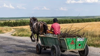 "Deutsche Welle": Specjalna kategoria imigrantów