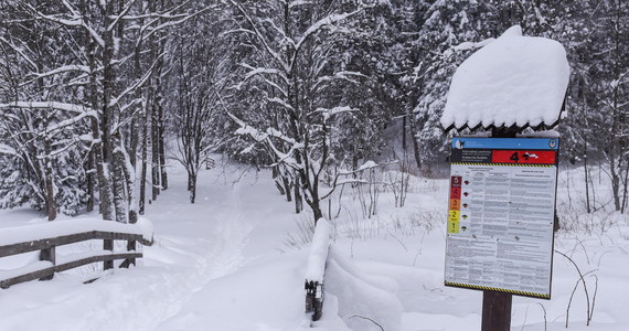 W Tatrach wciąż obowiązuje czwarty stopień zagrożenia lawinowego - część szlaków zastała zamknięta, a turyści uwiezieni w schroniskach.  Trudna sytuacja jest również w Beskidach i w Bieszczadach. Ratownicy apelują, by nie wychodzić na szlaki. Ze schroniska w Dolinie Pięciu Stawów Polskich udało się przetransportować wszystkich turystów, których uwięziły tam obfite opady śniegu i najwyższy stopień zagrożenia lawinowego. 19 turystów pozostaje jeszcze w schronisku nad Morskiem Okiem, ale oni na razie nie potrzebują transportu.