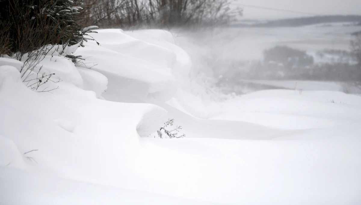 ​Burmistrz Szczyrku ogłosił stan "zagrożenia o znamionach klęski żywiołowej" po obfitych opadach śniegu. Policja musiała skierować tam dodatkowe siły, by udrożnić drogę wojewódzką. Do Szczyrku przyjechało dziś mnóstwo turystów i narciarzy.