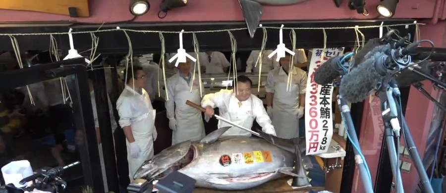 Gigantyczny, ważący 278 kilogramów tuńczyk błękitnopłetwy został sprzedany za 3,1 miliona dolarów w czasie dorocznej aukcji tuńczyków w Tokio. Nabywcą został samozwańczy "król sushi" Kiyoshi Kimura, właściciel znanej japońskiej sieci restauracji.