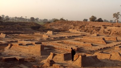 Tajemnica starożytnego grobowca "pary z Harappy"