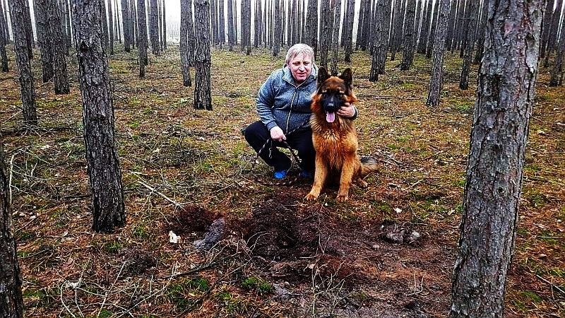 /foto – Biuro Ochrony Zwierząt Zielona Góra /