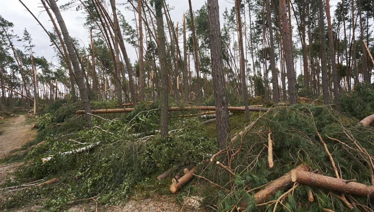 ​Zarzut niedopełnienia obowiązków służbowych usłyszał były Dyrektor Wydziału Bezpieczeństwa i Zarządzania Kryzysowego Starostwa Powiatowego w Chojnicach. To pierwsza osoba podejrzana w związku z tragedią, do której doszło w obozie harcerskim w Suszku, podczas potężnej nawałnicy, która przez północną Polskę w sierpniu 2017 roku. Zginęły tam dwie nastoletnie harcerki.