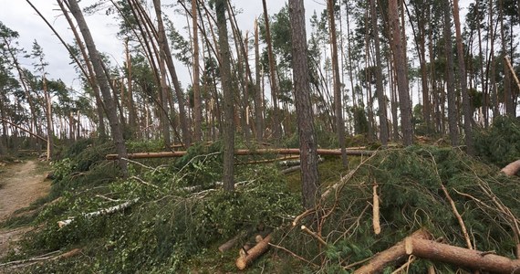 ​Zarzut niedopełnienia obowiązków służbowych usłyszał były Dyrektor Wydziału Bezpieczeństwa i Zarządzania Kryzysowego Starostwa Powiatowego w Chojnicach. To pierwsza osoba podejrzana w związku z tragedią, do której doszło w obozie harcerskim w Suszku, podczas potężnej nawałnicy, która przez północną Polskę w sierpniu 2017 roku. Zginęły tam dwie nastoletnie harcerki.