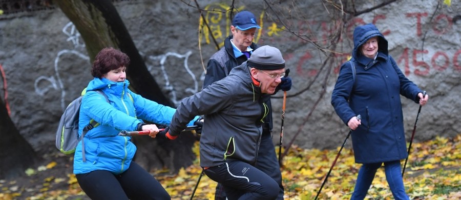 Tylko co trzecia osoba, która skończyła 60 lat regularnie uprawia sport. To wniosek z badań przeprowadzonych przez Akademię Wychowania Fizycznego w Warszawie. Przy okazji Dnia Babci i jutrzejszego Dnia Dziadka sprawdzamy, jaka dyscyplina sportowa jest najlepsza dla seniorów. 