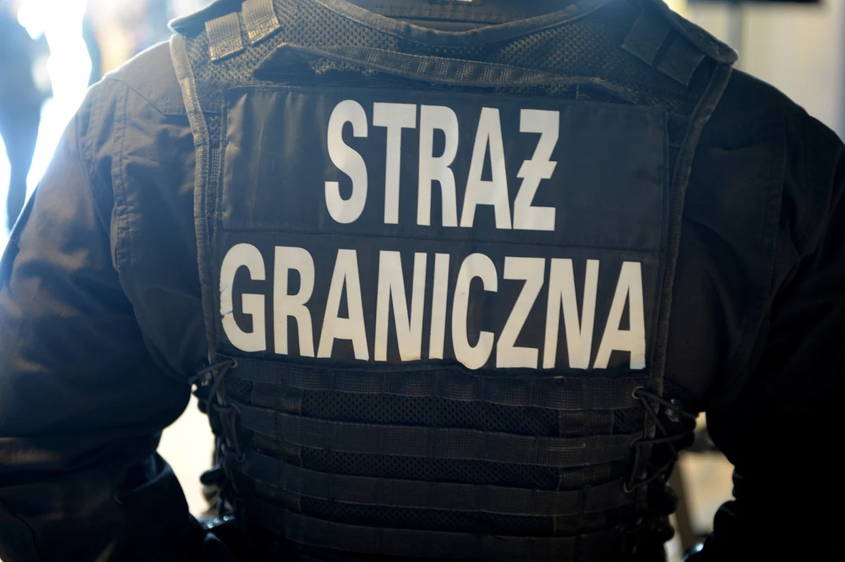 Strażnicy Graniczni ze Świecka w Lubuskiem zatrzymali po pościgu 39-letniego Polaka pod zarzutem kradzieży volkswagena. Tym autem przejechał około 2 tys. km – poinformowała rzeczniczka Nadodrzańskiego Oddziału Straży Granicznej Joanna Konieczniak.