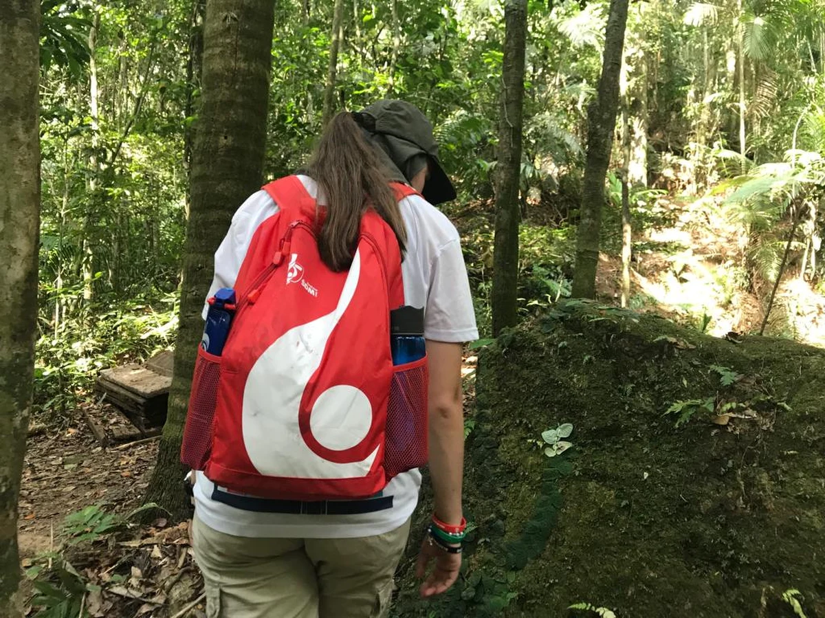Filip Gruszecki, licealista z Krakowa, wraz z grupą pielgrzymów z Polski uczestniczy w Światowych Dniach Młodzieży w Panamie. Do redakcji RMF FM dotarła jego kolejna relacja z ŚDM. Poniżej cytujemy jego list.