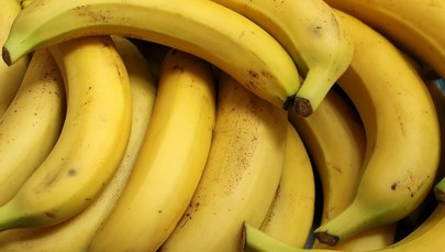 Warszawa: Groźny pająk w bananach w supermarkecie 