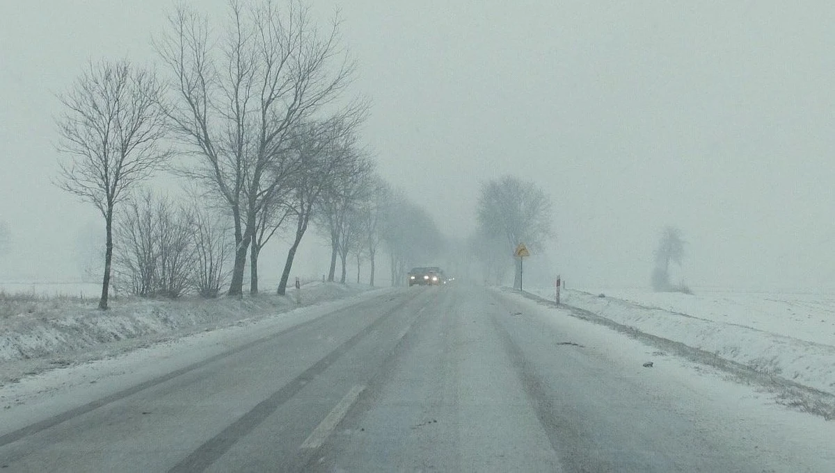 Wszystkie drogi krajowe są przejezdne - informuje w piątek wieczorem Generalna Dyrekcja Dróg Krajowych i Autostrad. Jazdę w nocy utrudniać może lokalne oblodzenie i błoto pośniegowe. W dziewięciu województwach pada śnieg.