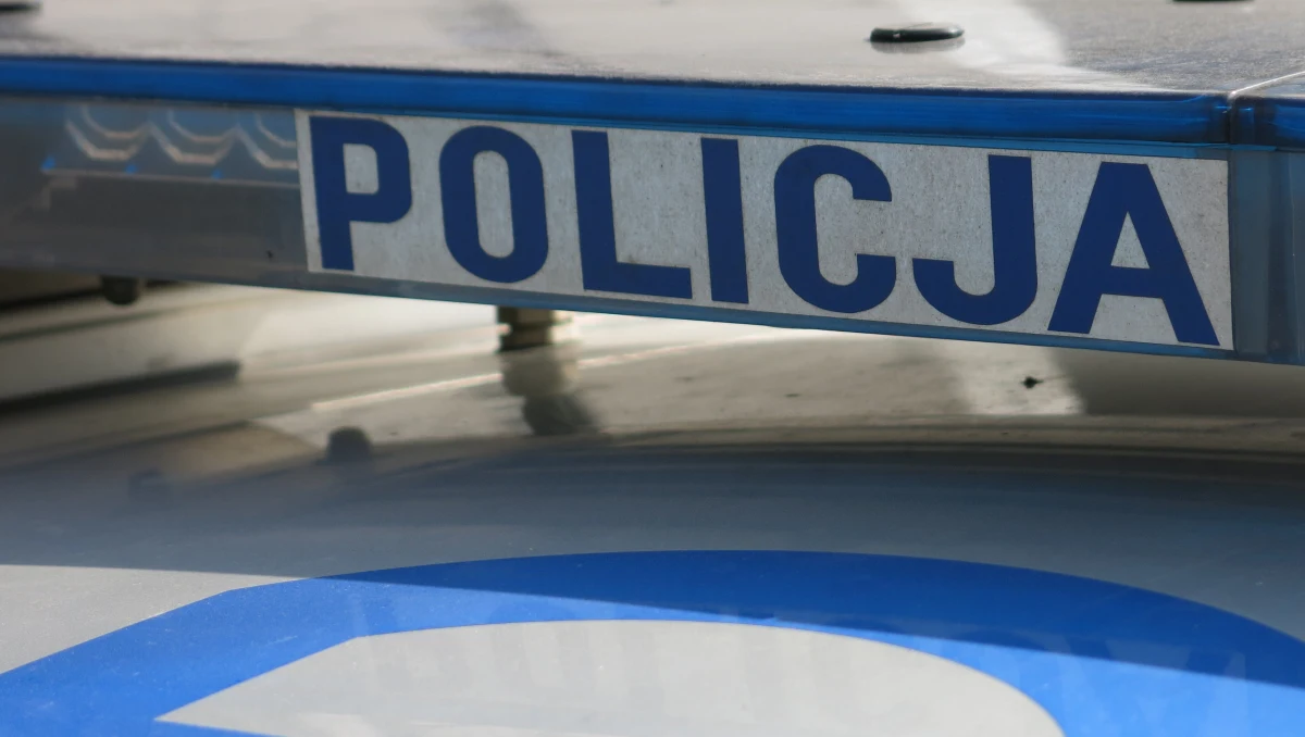 Trwa śledztwo w sprawie odnalezienia w piwnicy Urzędu Gminy Kostomłoty na Dolnym Śląsku kartonu z ludzką czaszką i kośćmi. Fachowcy stwierdzili, że kości są z okresu międzywojennego.