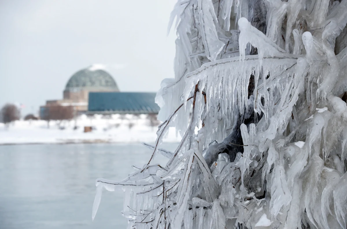 Masy arktycznego powietrza spodziewane są nad dwiema trzecimi terytorium Stanów Zjednoczonych. Synoptycy ostrzegają przed śnieżycami i temperaturami poniżej minus 40 stopni Celsjusza. Część stanów ogłosiła stan wyjątkowy. Krajowa Służba Meteorologiczna (NWS) podała, że ocieplenia można spodziewać się dopiero w okolicach weekendu.