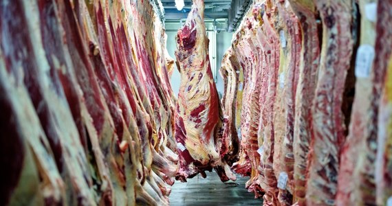 Szwedzki Urząd Ochrony Żywności (Livsmedelsverket) podał w komunikacie, że do Szwecji trafiło 240 kg mięsa wołowego z polskiej rzeźni, której cofnięto zgodę na prowadzenie działalności.