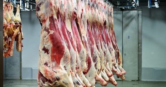 Prawie 300 kg wołowiny z chorego bydła z Polski trafiło do restauracji i szkół na Słowacji - poinformował szef słowackiej służby weterynaryjnej (SVPS) Jozef Biresz.