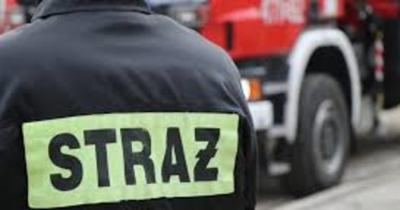 Robotnicy uszkodzili gazociąg podczas prac drogowych na ul. Garbary w Poznaniu. Ewakuacja mieszkańców nie była konieczna.