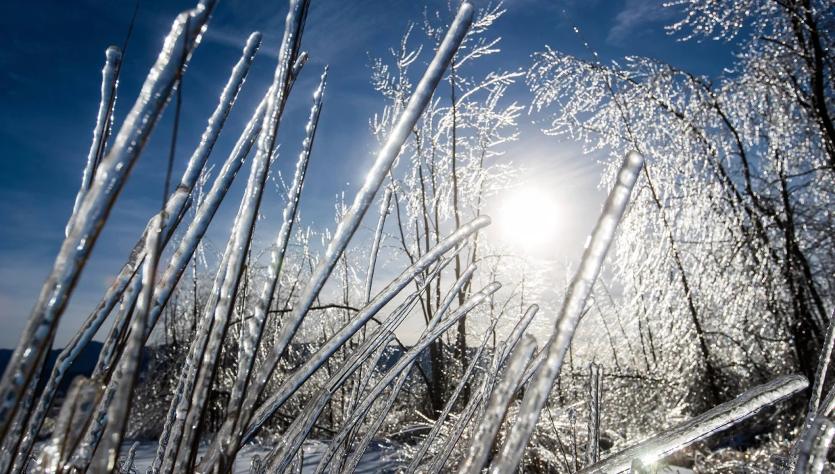 ​Instytut Meteorologii i Gospodarki Wodnej w piątek rano wydał ostrzeżenia pierwszego stopnia dla Pomorskiego, Podlaskiego, Mazowieckiego, Lubelskiego i Podkarpackiego w związku z oblodzeniami, a dla Małopolskiego z powodu silnego mrozu.